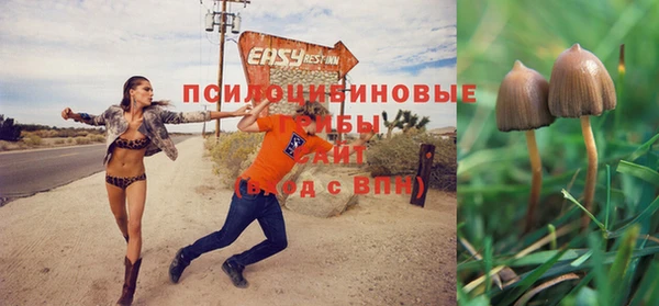 бошки Абаза