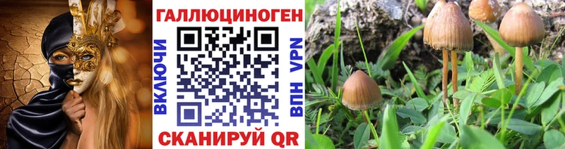 Галлюциногенные грибы Magic Shrooms  Шарья 