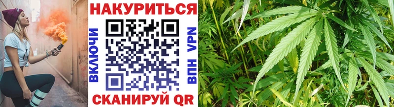Канабис OG Kush  Шарья 